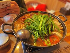 八爪鱼牛肉锅-东吉馆韩式餐厅(八经街总店)