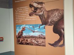 -安徽省地质博物馆