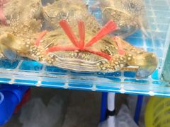 -琼大师东方烤乳猪(亚特兰蒂斯店)