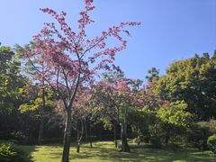-晓港公园
