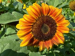 -奥林匹克森林公园北园-停车场