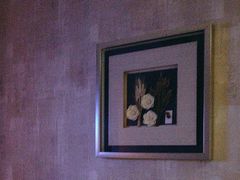 -益健·足疗汗蒸SPA(芙蓉广场店)
