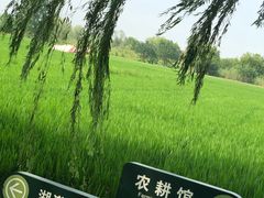 -长兴太湖图影湿地文化园