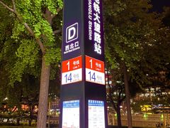 -大望路(地铁站)