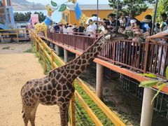 -西霞口神雕山野生动物世界