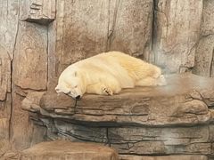 -西安曲江海洋极地公园