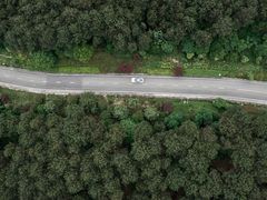 -铁山坪森林公园