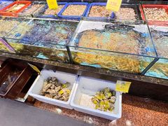 -新金盛·海鲜酒楼(盐田店)
