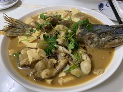 豆腐狗鱼-煲来饱去冷水鱼