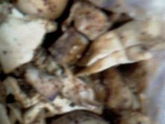 IMAG0249-老王豆皮