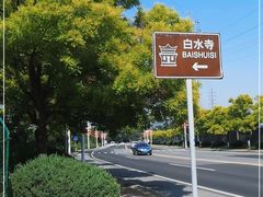 -白水寺森林公园