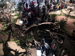 -自贡恐龙博物馆