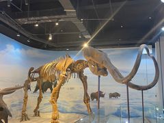 -辽宁古生物博物馆