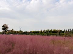 -郑东新区龙湖公共艺术中心