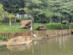 -映月湖公园
