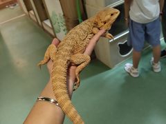 -藦茜花园宠物主题亲子互动体验馆(国顺东路店)