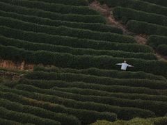 -龙坞茶村