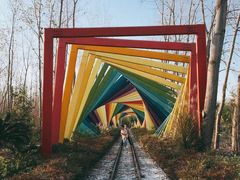 -合肥滨湖国家森林公园