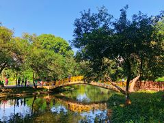 -晓港公园