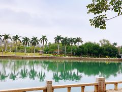 -白鹭洲公园