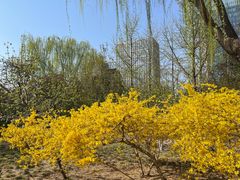 -元大都城垣遗址公园