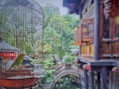 -哈哈曲艺社(西门闲亭店)