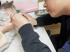 -格蕾宠物医院24H·猫科·肿瘤科·骨科中心(福州总院)