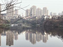 -重庆彩云湖湿地公园