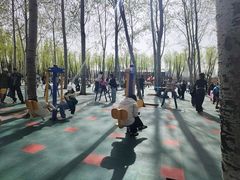 -森林公园(尖草坪区)