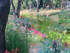 -人民公园(罗湖区)