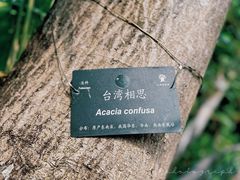 -深圳市中科院仙湖植物园