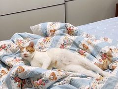 -喵汪宠物生活馆(涞坊路店)