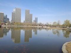 -西海子公园