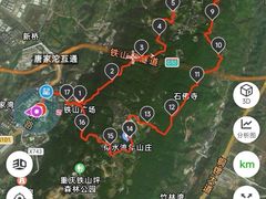 -铁山坪森林公园