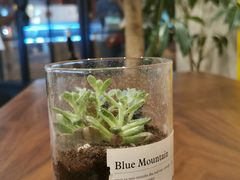 -Fridi Patisserie Cafe