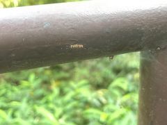 -峨眉山报国寺