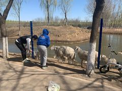 -东郊湿地公园