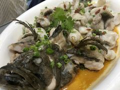 -丰尔粥食·顺德鱼生·干蒸排骨顺德菜(大良分店)