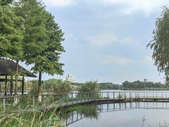 -长广溪湿地公园