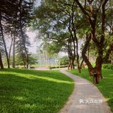 广州公园｜这几年，天河公园变化太大了！