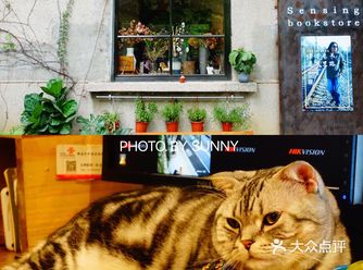 “嘿,人类,来看书么?”