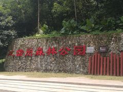 -王借岗森林公园