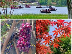 -武汉园博园(武汉自然博物馆)