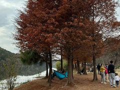 -南京市无想山景区