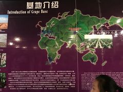 -紫轩葡萄酒庄园