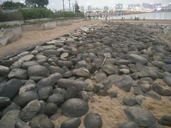 -江山半岛白浪滩景区