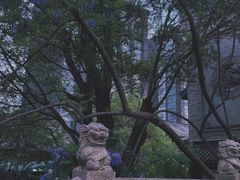 -龙潭水乡