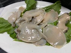 -金砂阿洲鱼册店