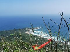 -海南铜鼓岭景区