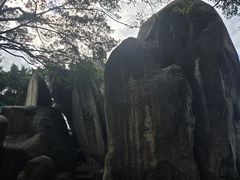 -莲花峰风景区